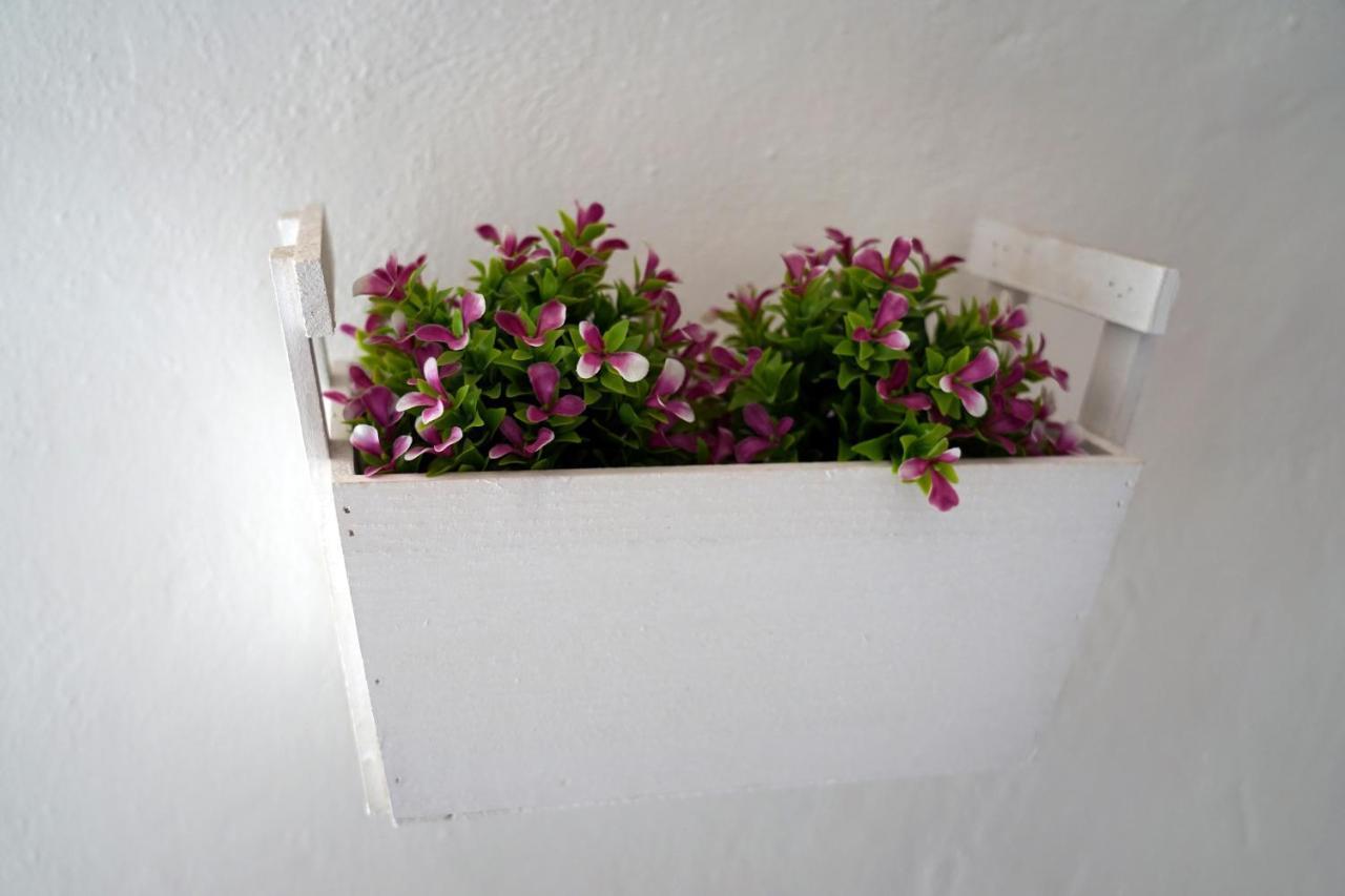 Blu_Cielo Terra Apartman Ostuni Kültér fotó
